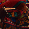 Pictorial Rug Handmade Multi Design