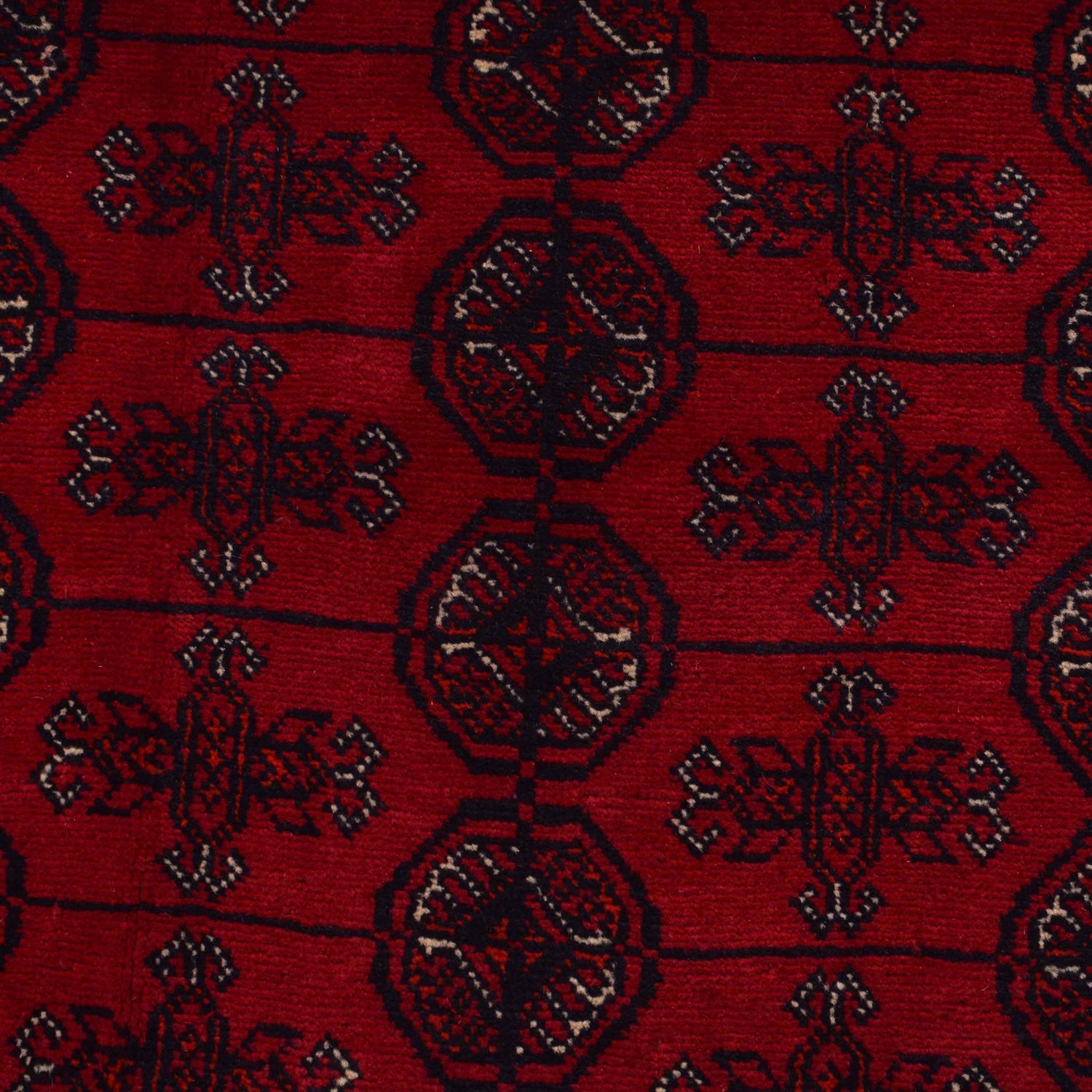 Bokhara Rug Handmade Vibrant Red Medallion 8x10 ft