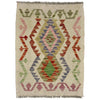 Handmade Multi Kilim Geometric 2x3 ft