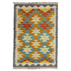 Handmade Multi Kilim Geometric 2x4 ft