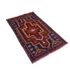 Baluchi Rug Handmade Multi Floral 2x4 ft