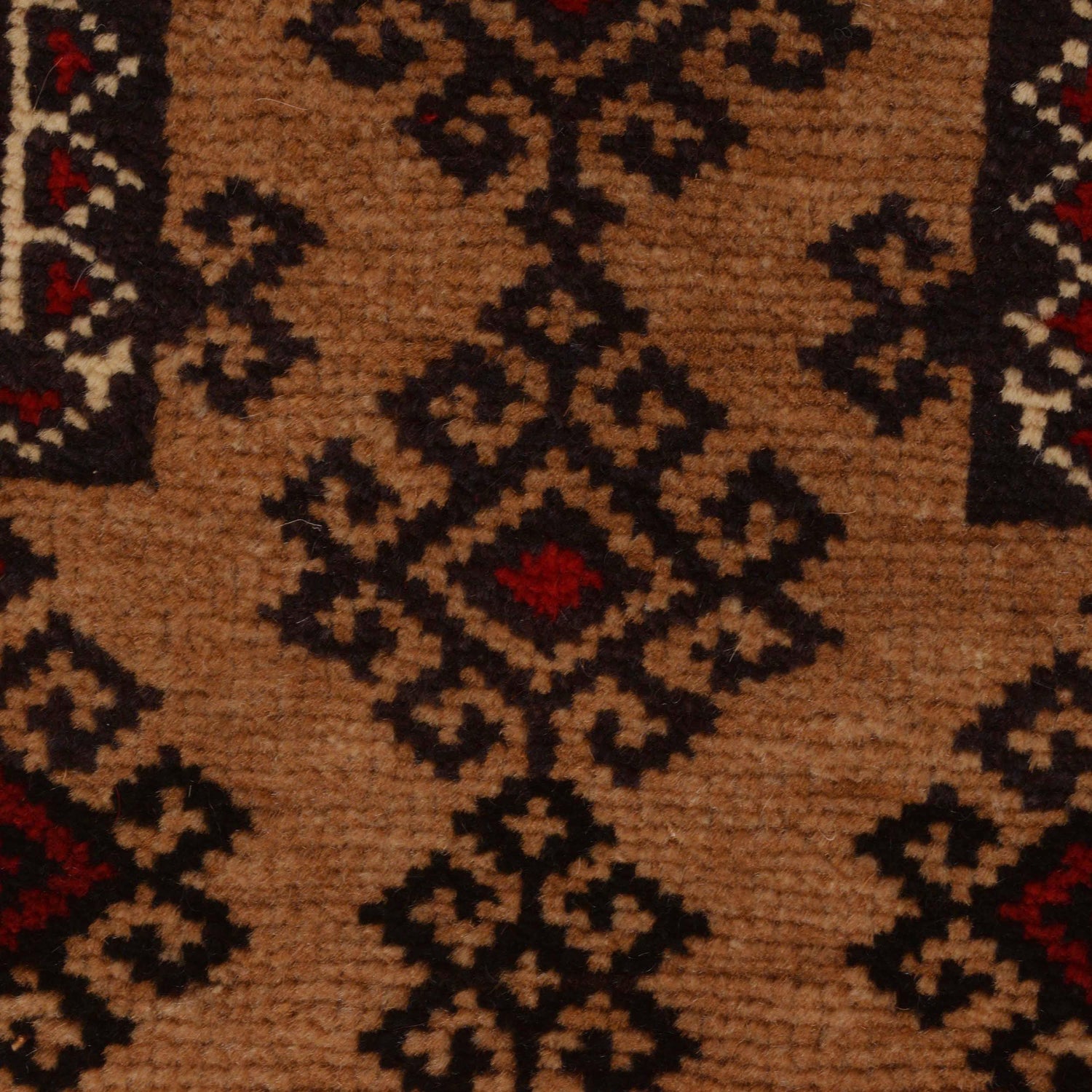 Baluchi Rug Handmade Multi Prayer Design 2x4 ft